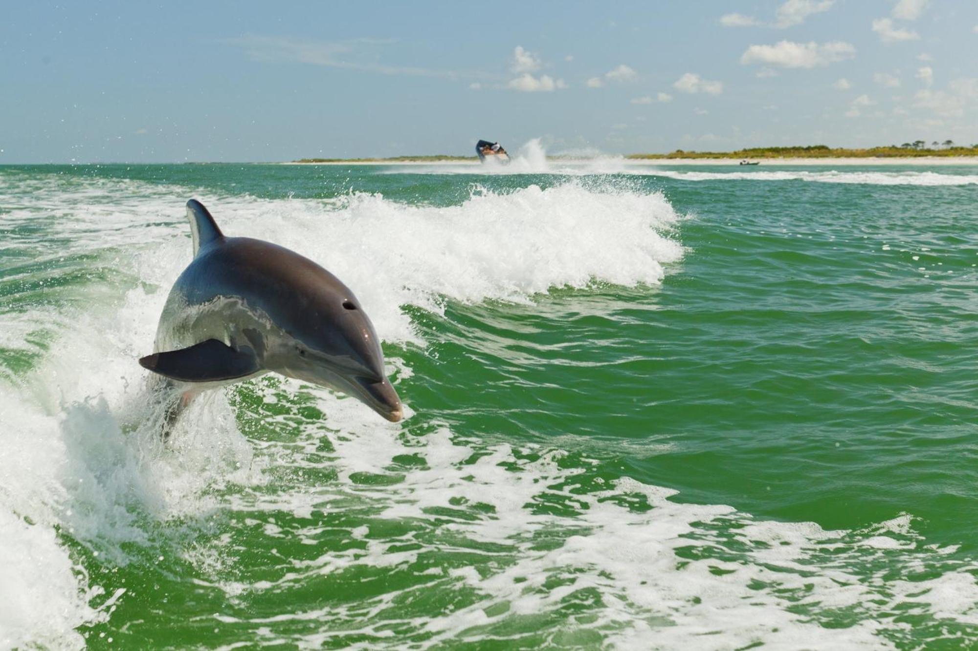 Holiday Inn & Suites Clearwater Beach S-Harbourside Luaran gambar